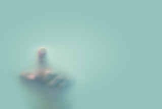 /content/it-it/images/repository/fall-back/42.jpg
